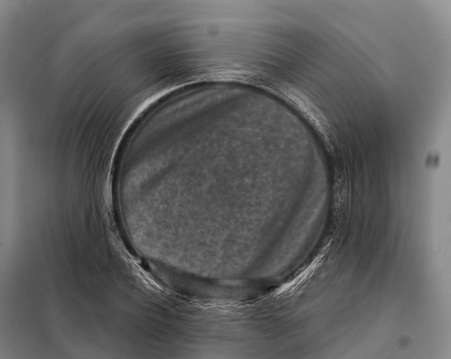 X0000098020932200804251134