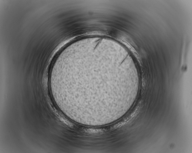 X0000098020933200804251134