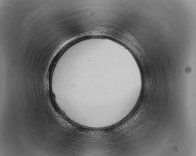 X0000098020934200804251134
