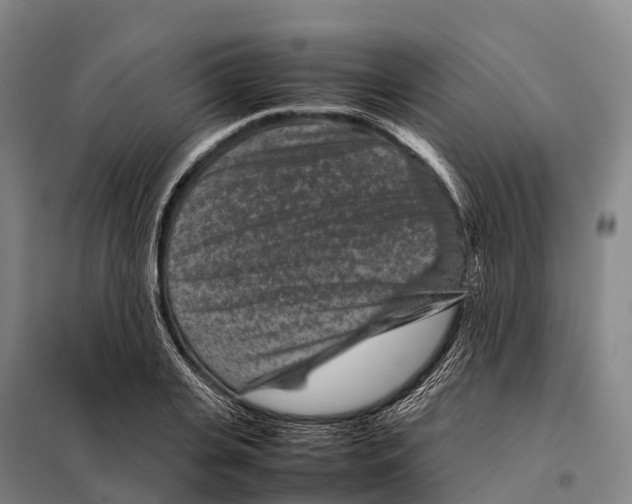 X0000098020935200804251134