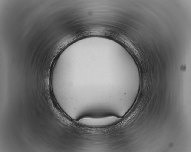 X0000098020938200804251134