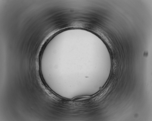X0000098020939200804251134