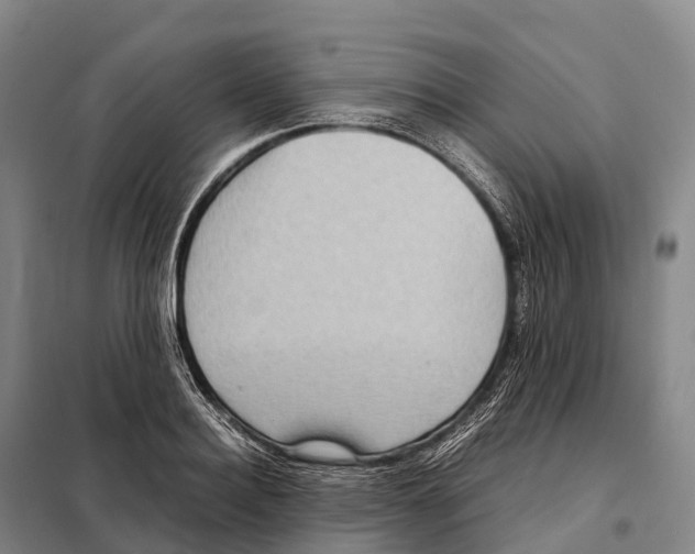 X0000098020940200804251134