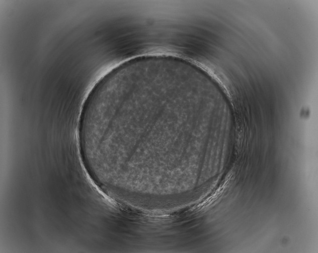 X0000098020943200804251134