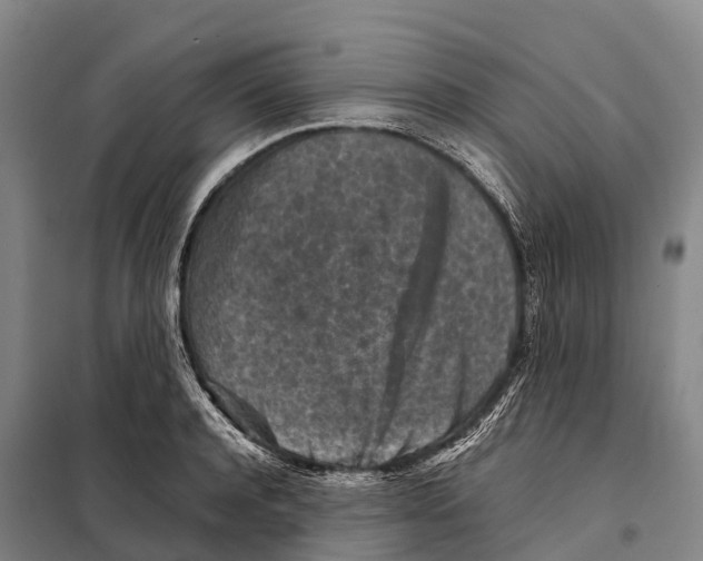 X0000098020944200804251134