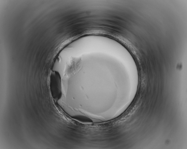 X0000098020945200804251134