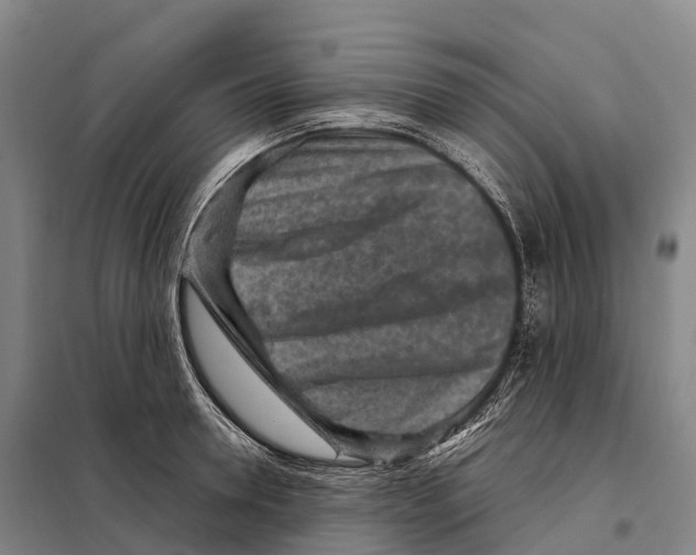 X0000098020946200804251134