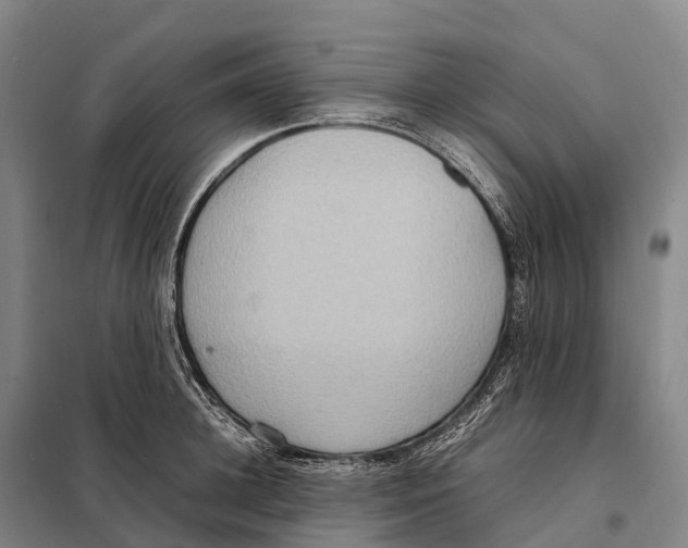 X0000098020948200804251134