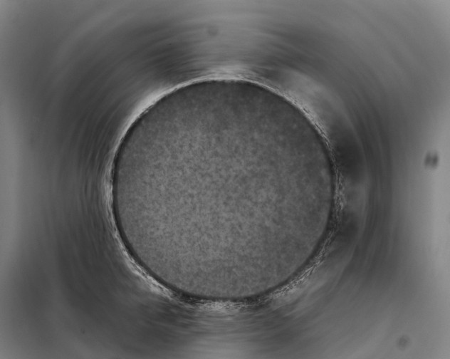 X0000098020950200804251134