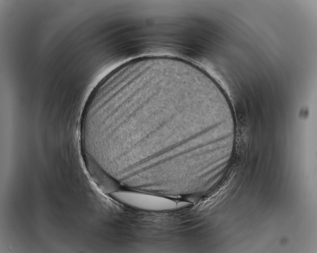 X0000098020951200804251134