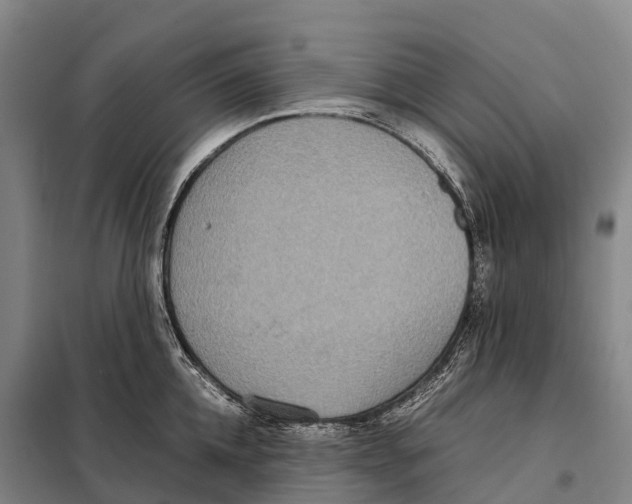 X0000098020952200804251134