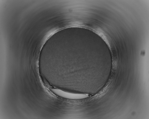 X0000098020954200804251134