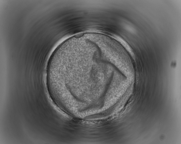 X0000098020955200804251134