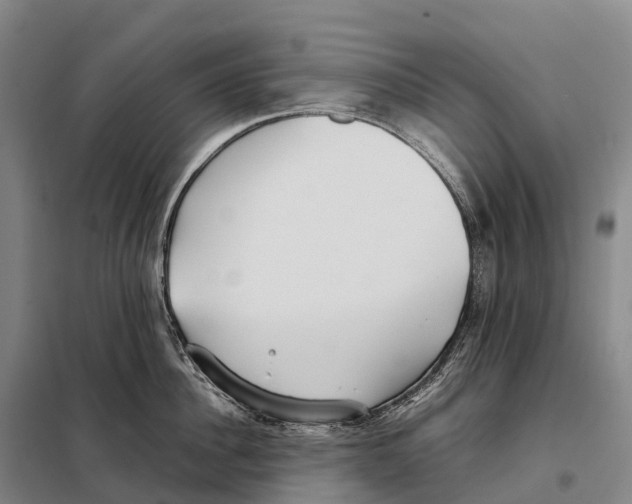 X0000098020956200804251134