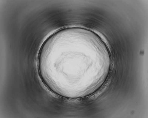 X0000098020957200804251134