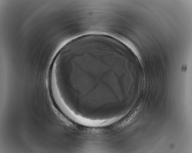 X0000098020958200804251134