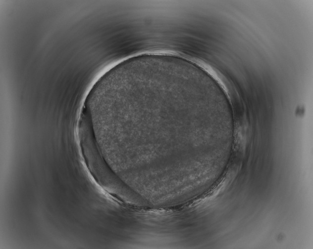 X0000098020959200804251134