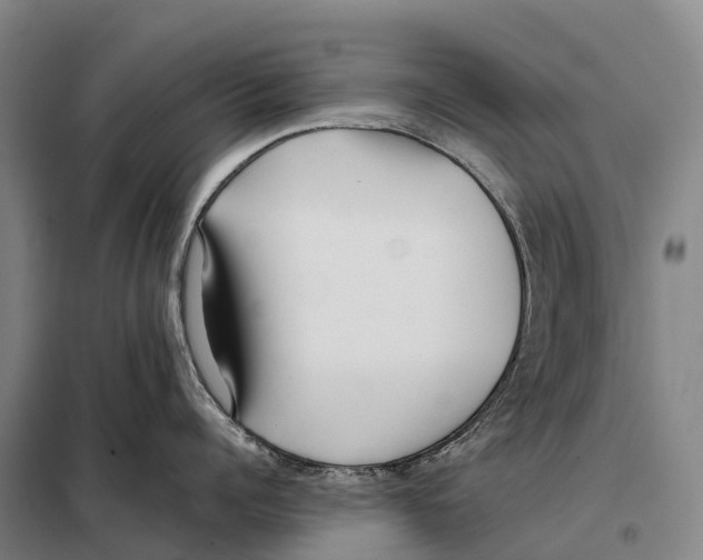 X0000098020960200804251134