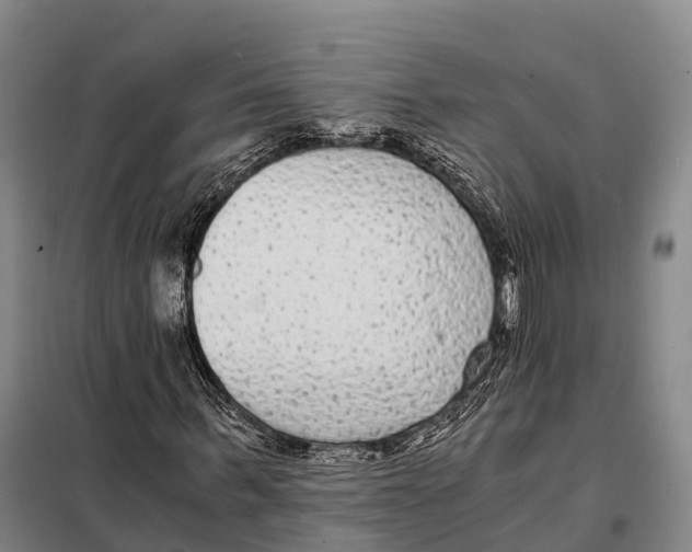 X0000098020963200804251133