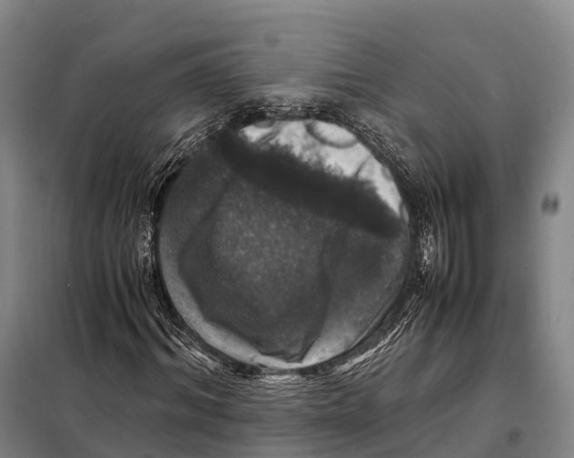 X0000098020964200804251133