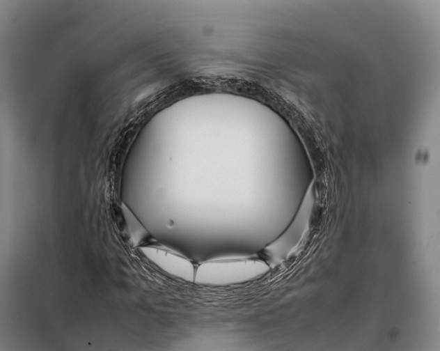 X0000098020965200804251133