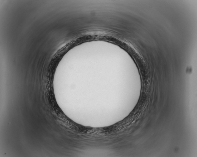 X0000098020967200804251133