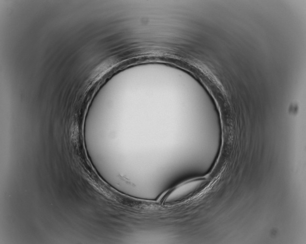 X0000098020969200804251133