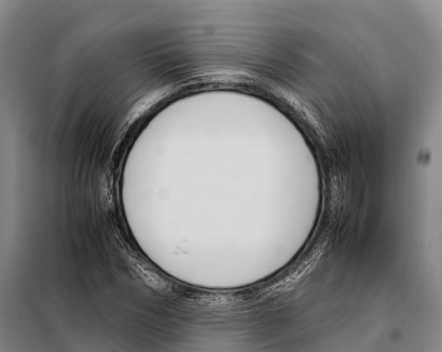 X0000098020970200804251133