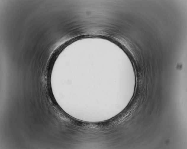 X0000098020971200804251133