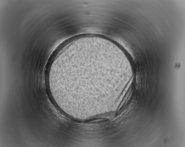 X0000098020972200804251133