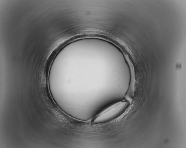 X0000098020973200804251133