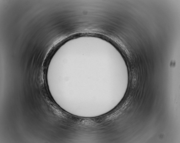 X0000098020974200804251133