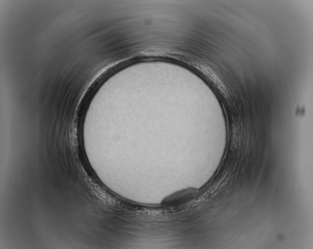 X0000098020976200804251133