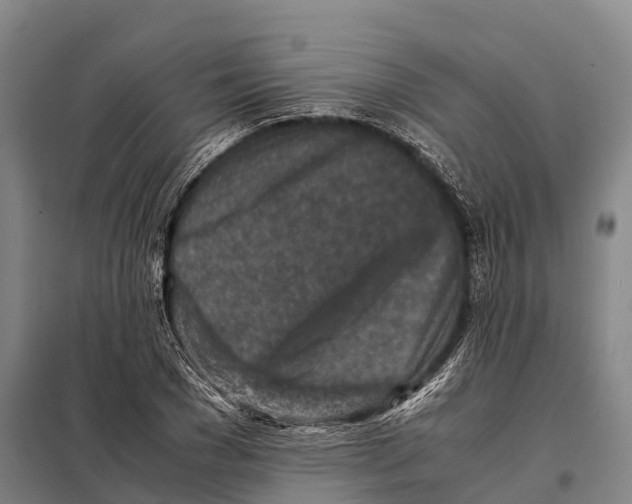 X0000098020977200804251133