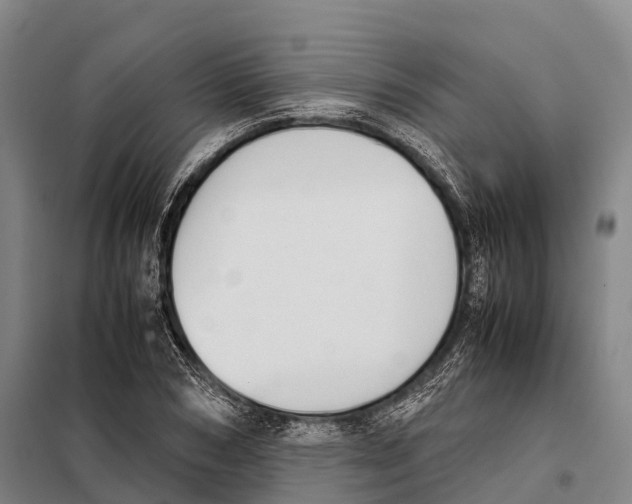 X0000098020978200804251133