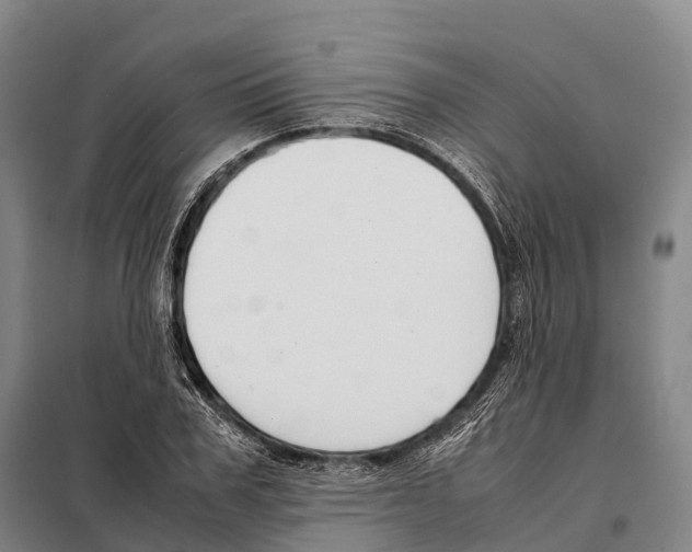 X0000098020979200804251133