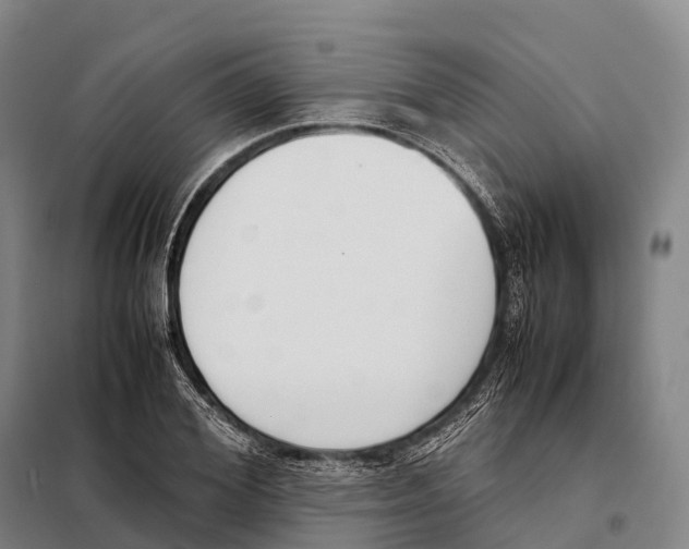 X0000098020980200804251133