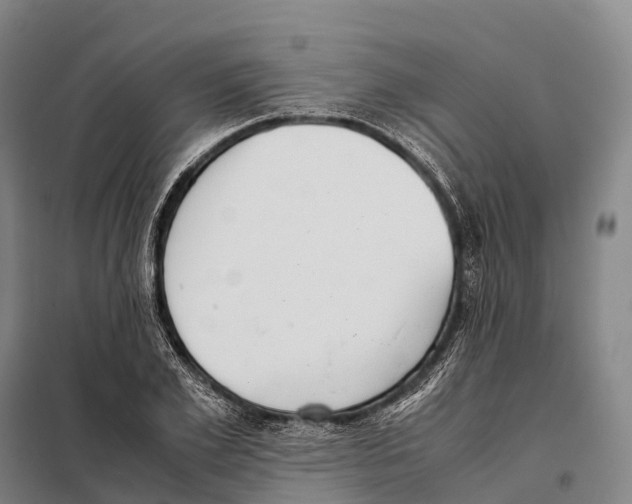 X0000098020981200804251133