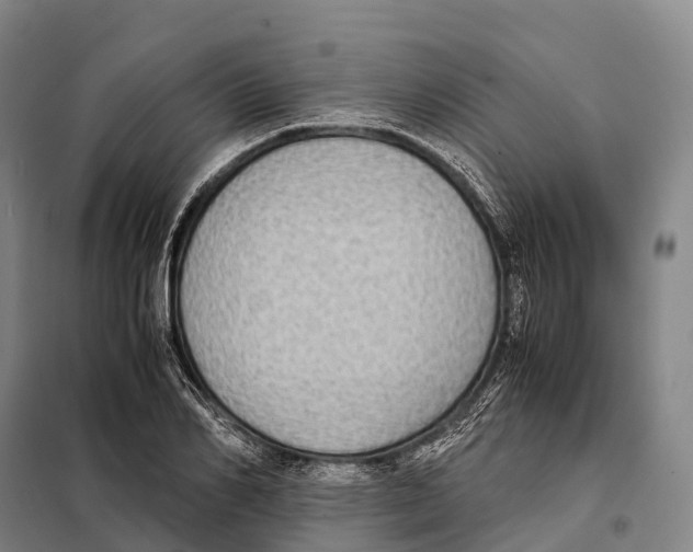 X0000098020982200804251133