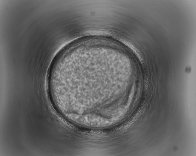X0000098020983200804251133