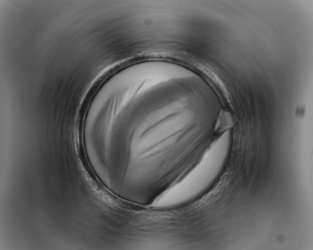 X0000098020984200804251133