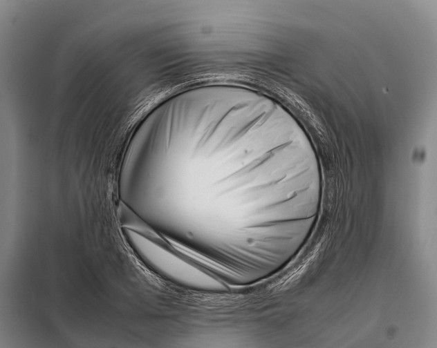X0000098020985200804251133