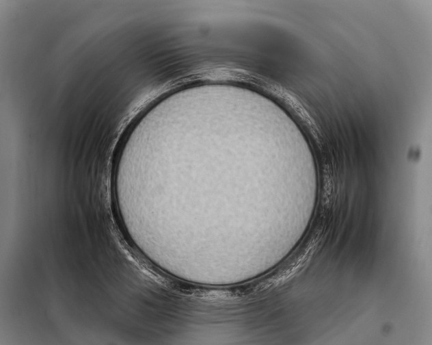 X0000098020986200804251133