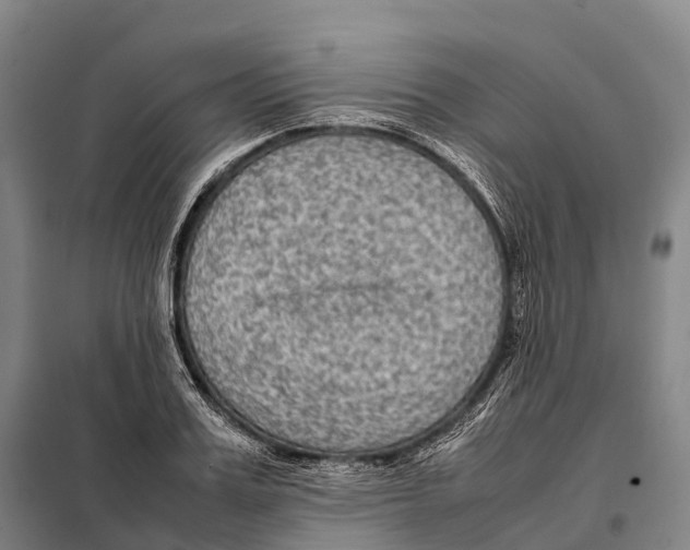 X0000098020987200804251133