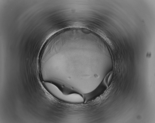 X0000098020988200804251133