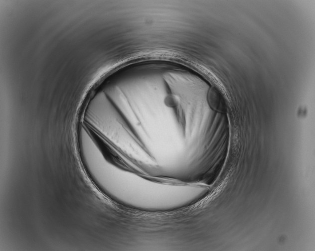 X0000098020989200804251133