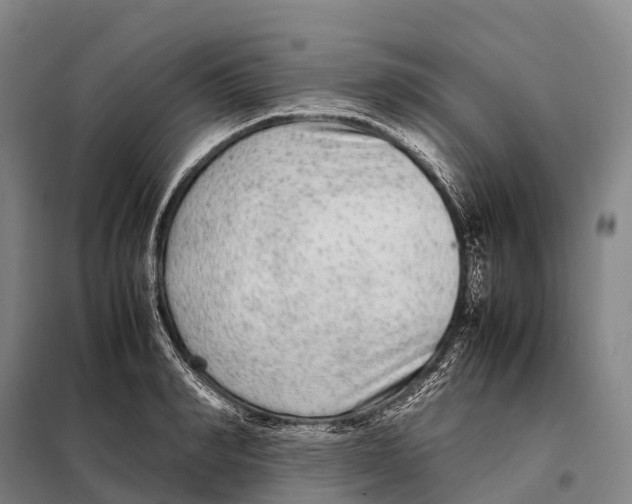 X0000098020990200804251133