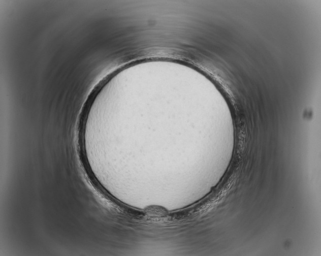 X0000098020991200804251133