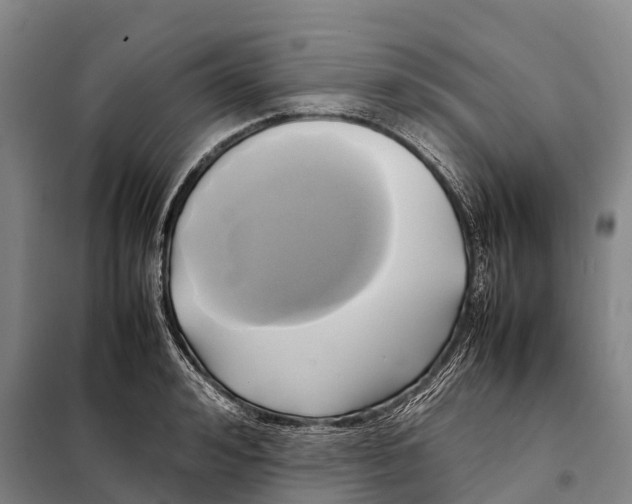 X0000098020992200804251133