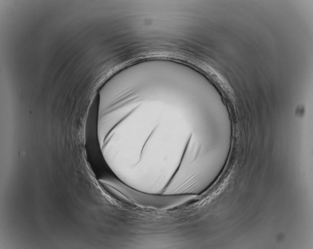 X0000098020993200804251133